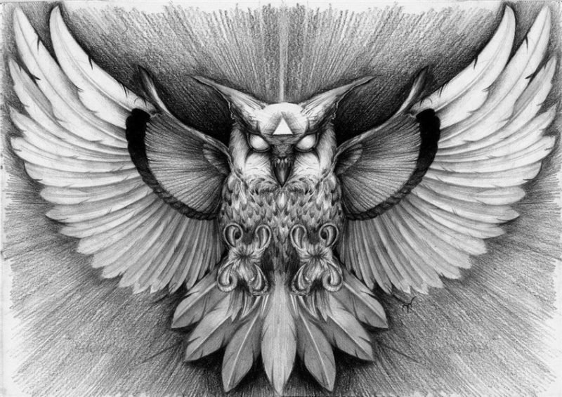 Pin by James Krusteva on Tattoo Sketches Owl neck tattoo, Ow