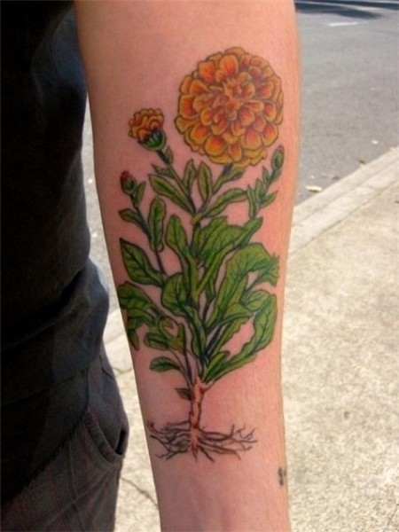 Pin by Jessi Chval on permanent ink Flower tattoo, Clover ta