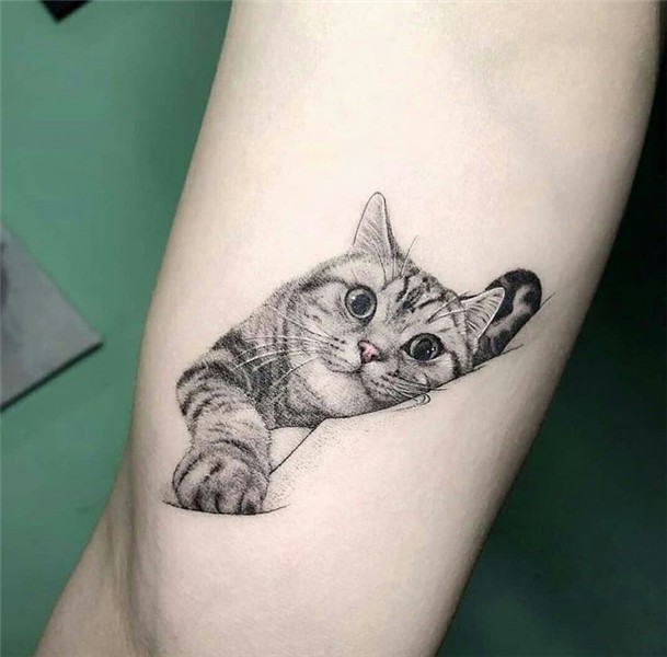 Pin by Lidya on TATUAJES -TATTOOS Cute animal tattoos, Cat t