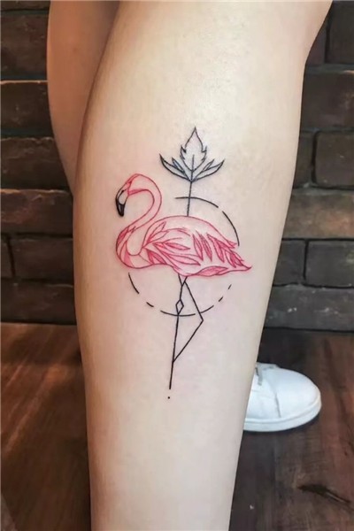 Pin by Lucas Queiroz on Tattoo amigos Flamingo tattoo, Feath