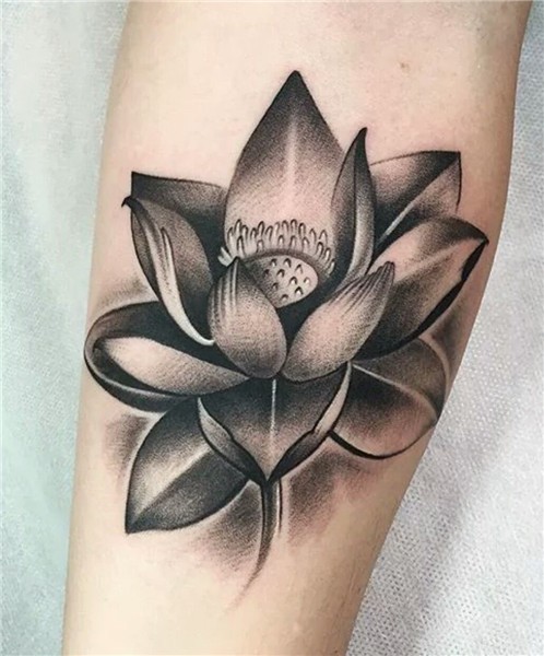 Pin by Marci Huff on Tatoo Flower tattoo meanings, Flower ta