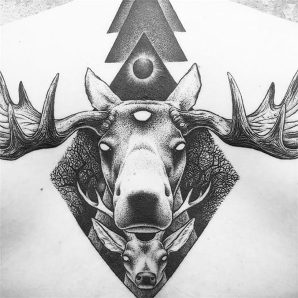 Pin by Meg Abbott on Tatoo Moose tattoo, Moose skull, Drawin
