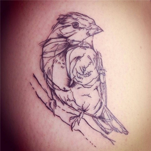 Pin by Sara Harvey on Tattoo Sparrow tattoo, Tattoo sketches