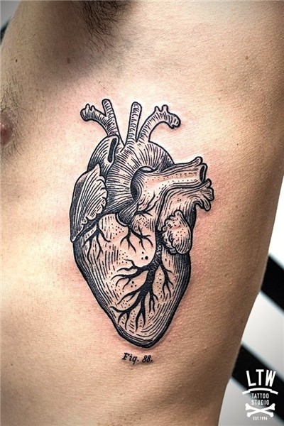Pin by Siegrid Boyer on Skin Art Heart tattoo designs, Anato