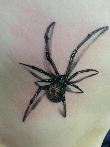 Pin by Skin and Soul Tattoo on Our Tattoos Spider tattoo, We