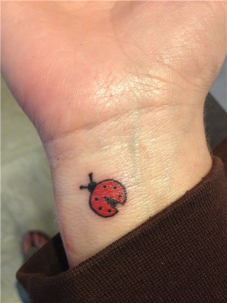 Pin by Stefanie Avant on Ink Lady bug tattoo, Small tattoos,