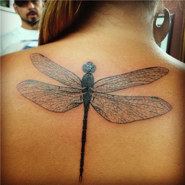 Pin by Tanya Dana on Tattoos Dragonfly tattoo, Tattoos, Inse