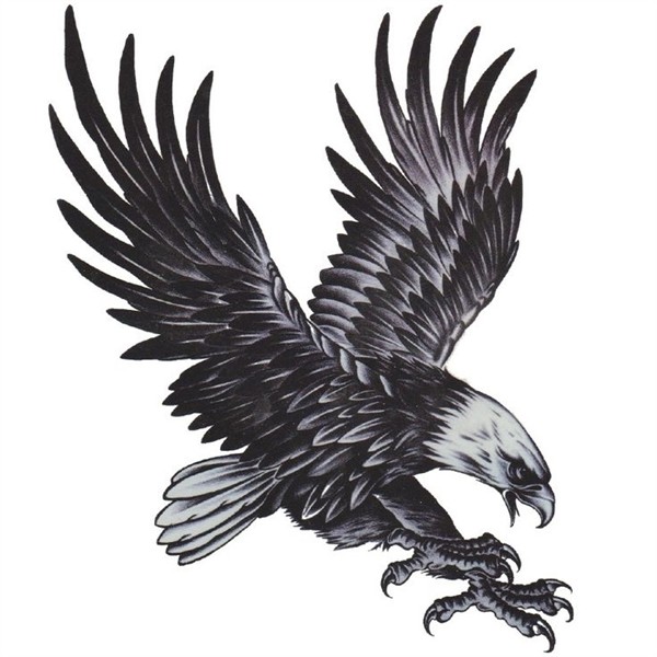 Pin by Tatiana Barkun on Tattoos to do. Eagle tattoos, Patte