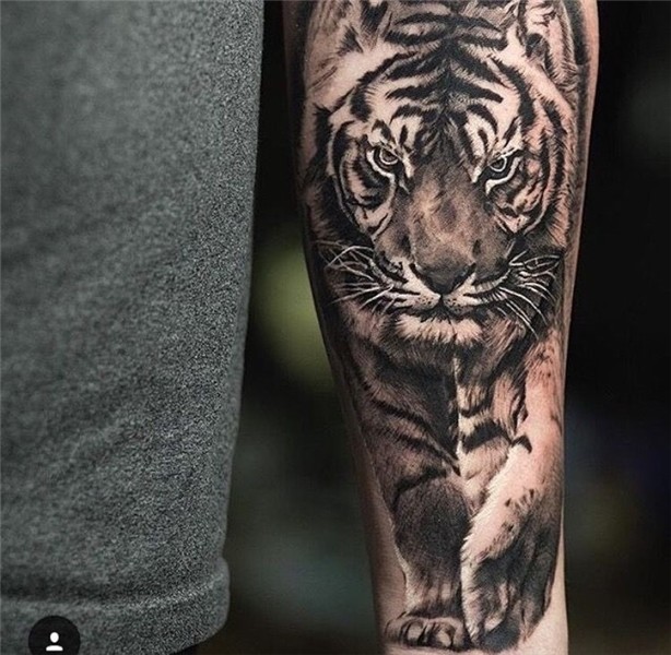 Pin by Tomrz on Tatters Mens tiger tattoo, Animal tattoos fo