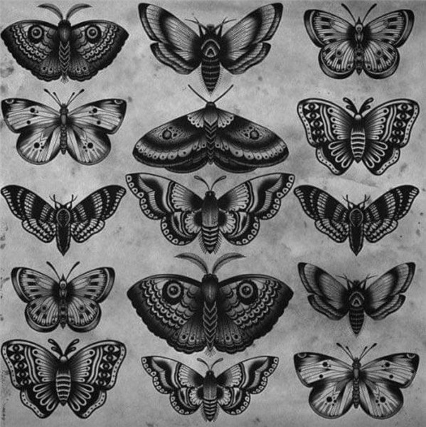 Pin by Tressa Worrick on Dark Beauty Traditional butterfly t