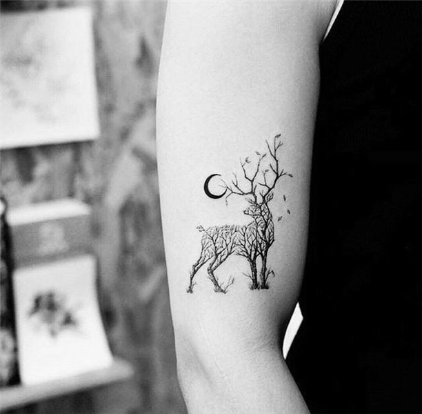 Pin by Wiktoria Gołecka on Tattoo Ideas Deer tattoo designs,