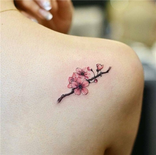 Pin by mabel decima on Tatuagem/Tatto Blossom tattoo, Tattoo