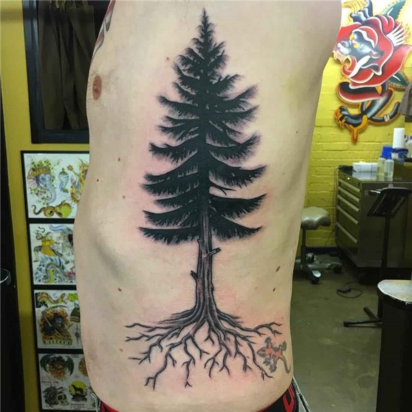 Pine Tree Tattoo Best Tattoo Ideas Gallery