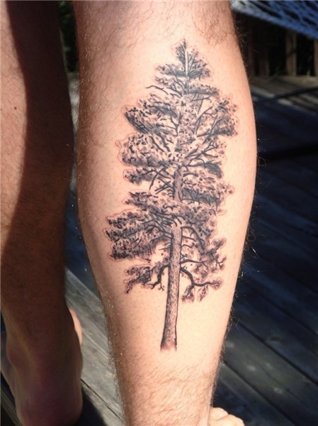 Pine Tree Tattoos Designs, Ideas and Meaning Tattoos For You