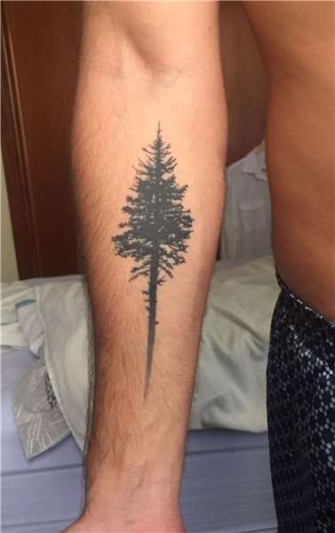 Pine tree tattoo Tree tattoo men, Tattoos for guys, Tree tat