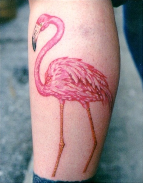 Pink flamingo Tattoos