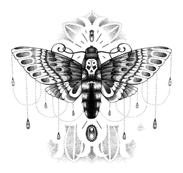 Pin on Marvelous Moths