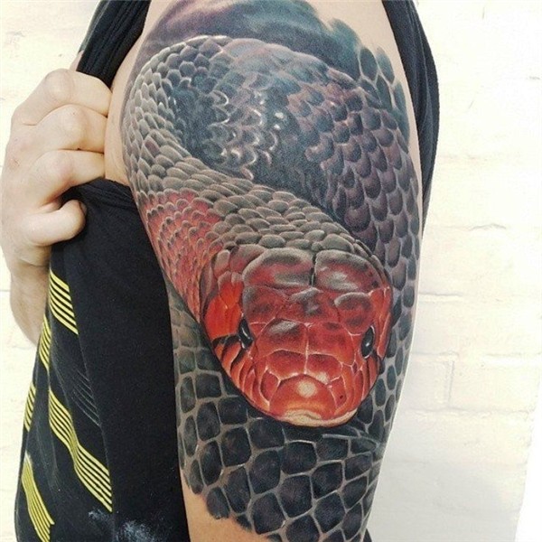 Pin on Snake Tattoos