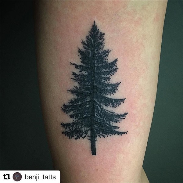 Pinterest: madysentrout ✶ Pine tattoo, Pine tree tattoo, Tre