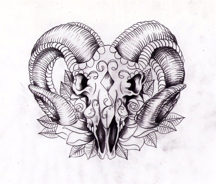 Rams head sugarskull Sketch by Nevermore-Ink on DeviantArt R
