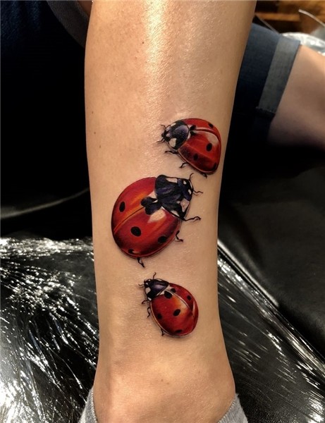 Realistic Ladybug tattoo by Arnaldo Radeke Insect tattoo, La