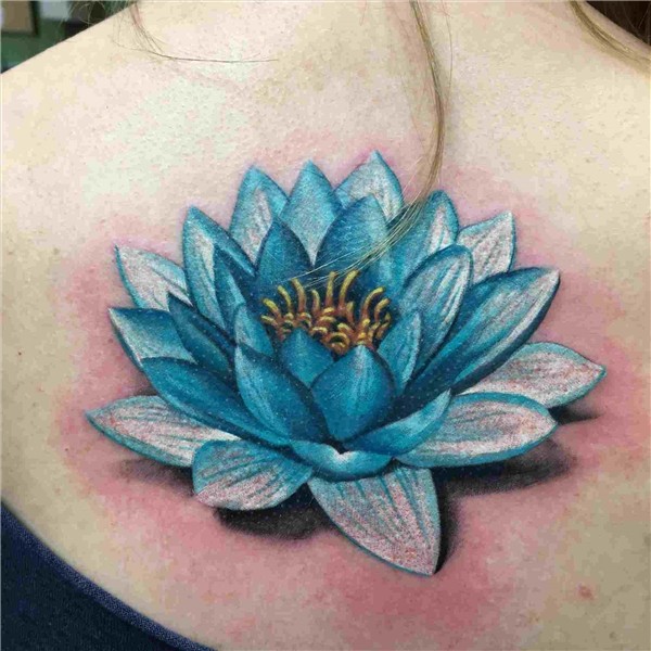 Realistic Lotus Flower Drawing at PaintingValley.com Explore