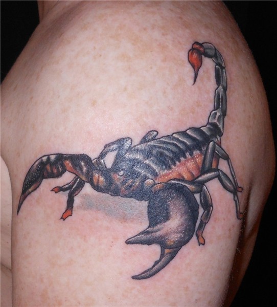 Scorpian Tattoos