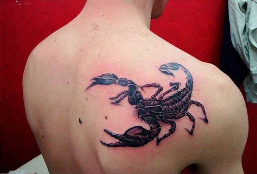 Scorpion tattoos - Tattoo Ideas