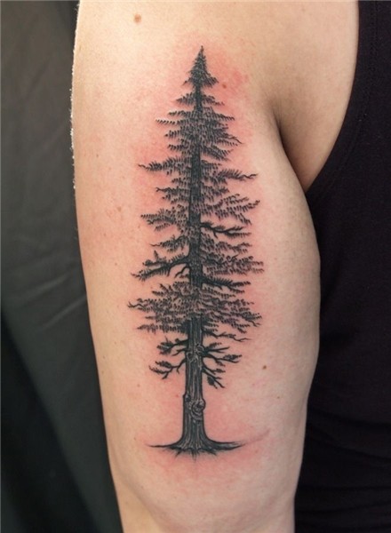 Sequoia Tree Tattoo - Image Home Garden ... - #Garden #Home