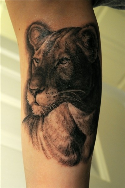 Serious lovely lion tattoo on leg
