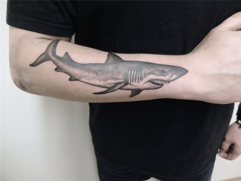 Shark Best Tattoo Ideas Gallery - Part 2