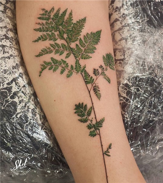 Shelupaev Anton Shel fern Tattoo Fern tattoo, Tattoos, Glyph