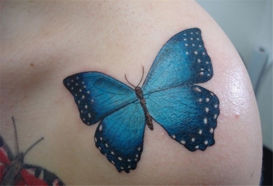 Significado das Tatuagens de Borboleta (51 fotos lindas!) Ta