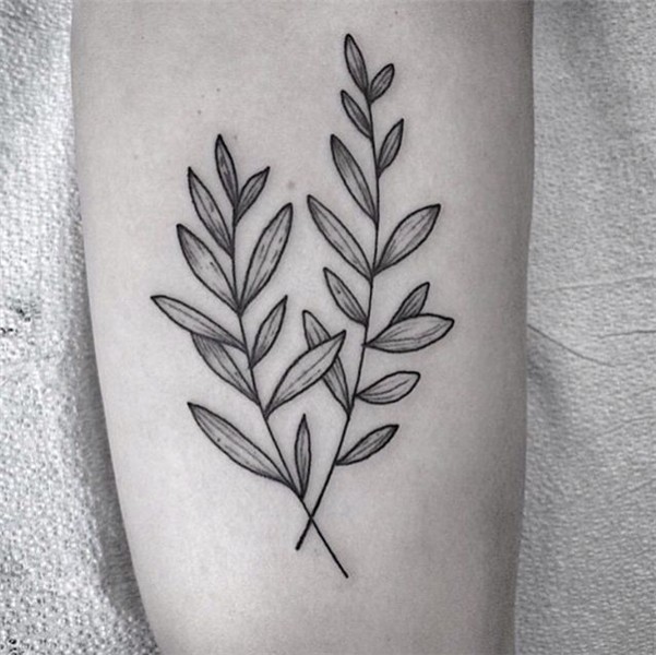 Simple but beautiful Olive branch tattoo, Tattoos, Branch ta