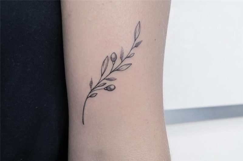 Simple but sweet olive branch for Rachael Thanks so much lov