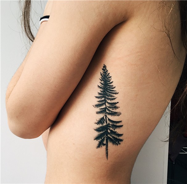 Simple pine tree tattoo Pine tattoo, Tree tattoo back, Simpl