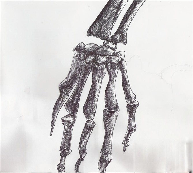 Skeleton Hand Art - Bing images