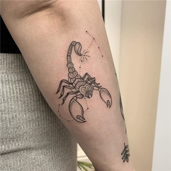 Small Scorpion Tattoo (68 photos)