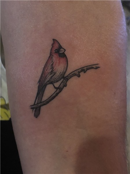 Small cardinal tattoo Small cardinal tattoo, Cardinal tattoo