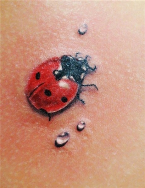 So cute! Lady bug tattoo, Ladybird tattoo, Bug tattoo