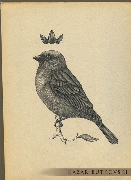 Sparrow king Sparrow drawing, Botanical artwork, Tatoo inspi