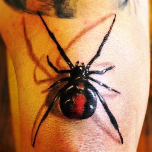 Spider Tattoos Spider tattoo, Sketch style tattoos, Insect t