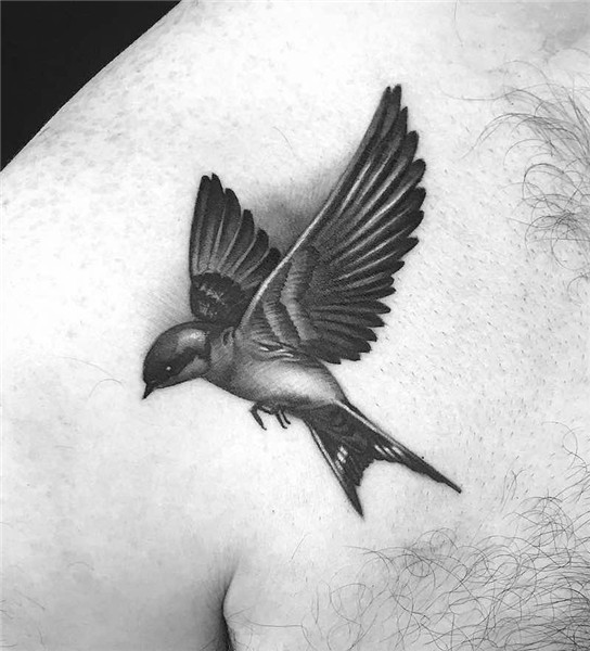 Swallow Tattoos - Tattoo Insider Swallow bird tattoos, Swall