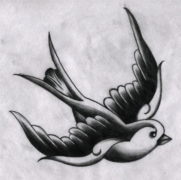 Swallow tattoo Esboços de tatuagem, Tatuagem de pássaros, Id