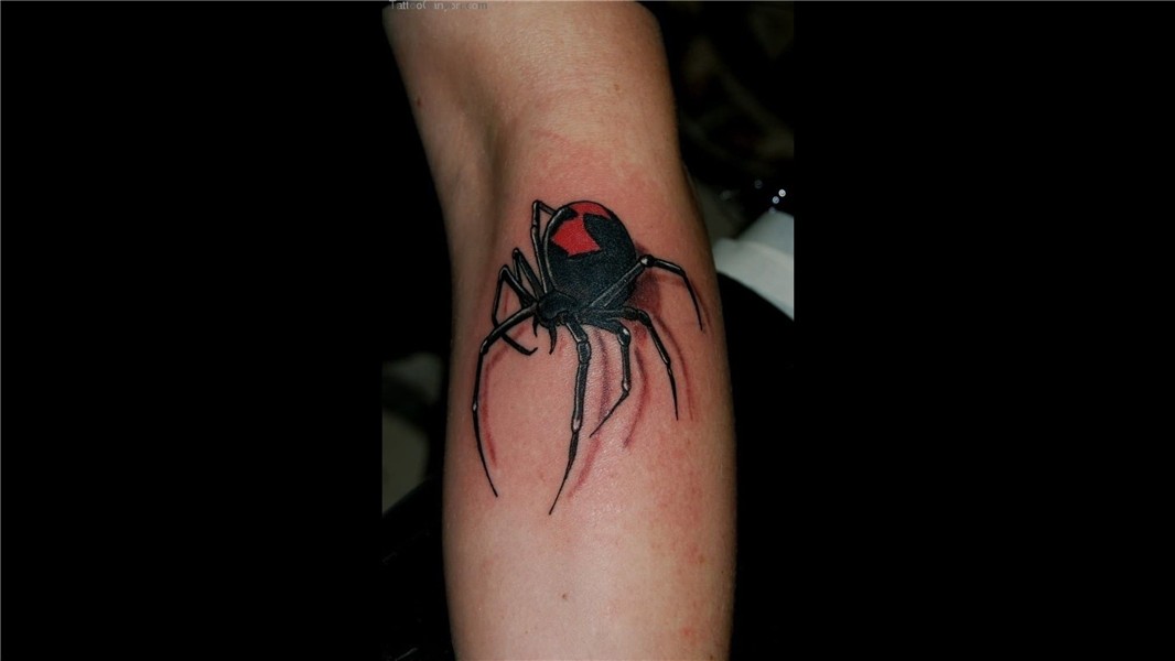 Tattoo Designs Black Widow Tattoo Black Widow Spider Tattoo