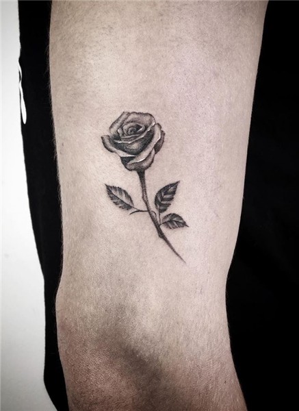 Tattoo Roses Small - Sportsila.top
