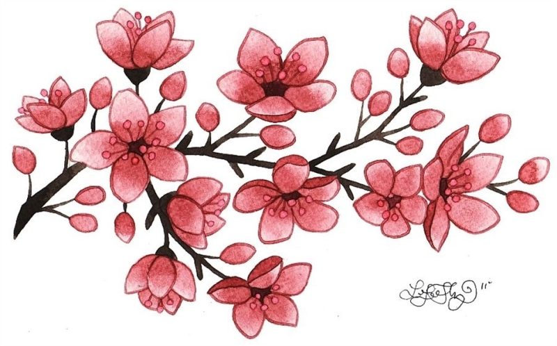 Tattoo design with cherry blossom free image download