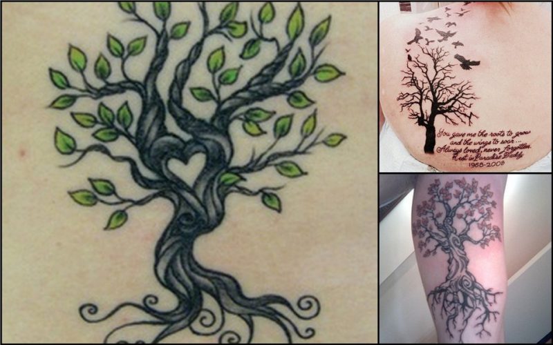Tattoo idea's to represent my family tree. I want the wind t