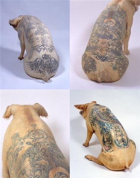 Tattooing pigs by Wim Delvoye search results 1 - TopRq.com