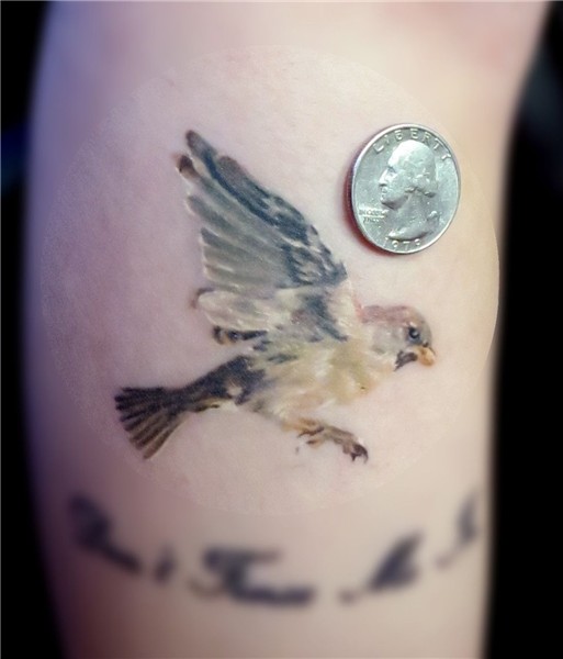 Tattoos by Josiah Schmelzer Sparrow tattoo, Ink tattoo, Smal